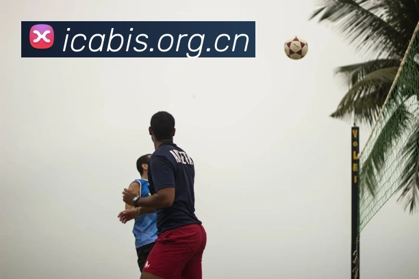 九游官网登录入口网页发展历程